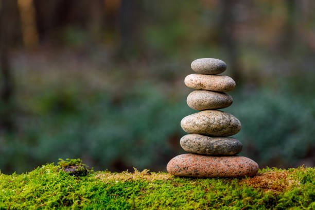 When Smart Isn’t Enough – Building Emotional Readiness in the Modern Child